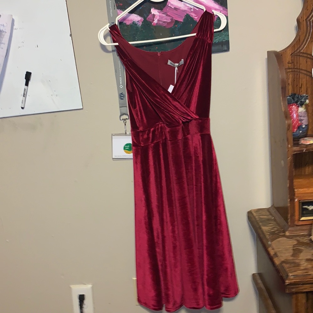 Red Velvet Dress